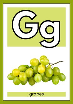 the letter g is for grapes with an image of green grapes in front of it