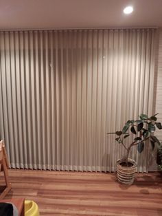 a living room with wooden flooring and vertical blinds on the wall, along with a potted plant