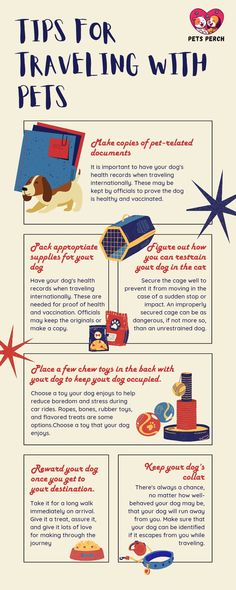 Pet travel
Traveling with pets
Pet-friendly travel
Pet travel tips Pet Travel Essentials, Dogs Traveling, Traveling With Cats, Travel Etiquette, Traveling With Dogs, Traveling With Pets, Dog Car Travel, Holiday Packing Lists