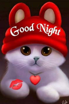 a white cat wearing a red hat with the words good night on it's side