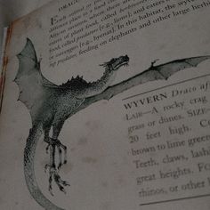 an old book with a drawing of a dragon on it