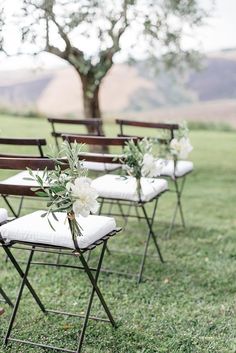 four folding chairs with flowers on them are sitting in the grass near a large tree