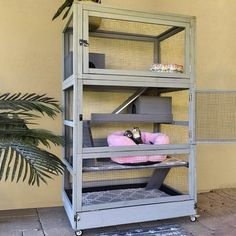 a cat in a cage on top of a shelf