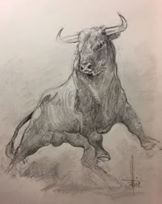 a pencil drawing of a bull standing on its hind legs