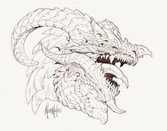 a drawing of two dragon heads with their mouths open and one is facing the opposite direction