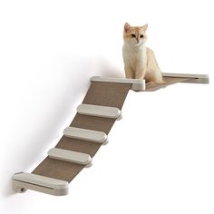 a cat sitting on top of a wooden shelf next to a stair case with no legs