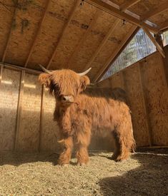 an animal that is standing inside of a building with hay on it's floor