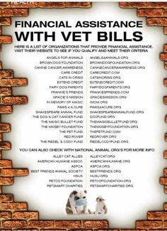 an advertisement for the financial assistance with vet bills