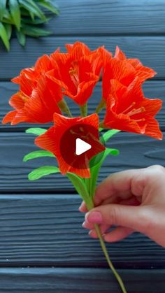 someone is holding a red flower with green stems in their hand on a wooden table