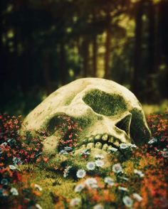 there is a large skull in the middle of flowers and grass with trees in the background