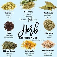 the different herbs used in this recipe are shown on a blue background with black lettering