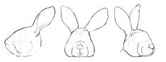 the steps to draw a rabbit's head in three different positions, including one for each