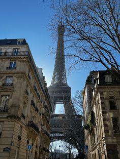 the eiffel tower towering over other buildings