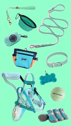 various items are arranged in the shape of a dog collar, leash, and purse