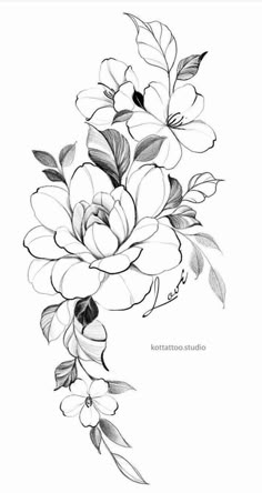 a black and white drawing of flowers with leaves on the bottom half of each flower