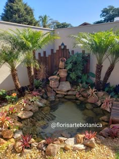 a small pond surrounded by rocks and palm trees