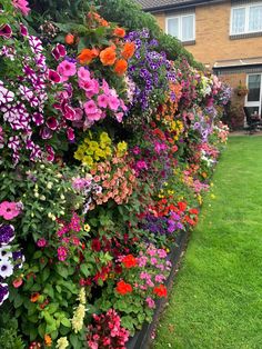 a long row of colorful flowers on the side of a building in front of a green lawn