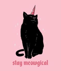 a black cat wearing a party hat with the words stay meowgical on it