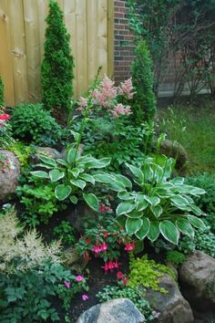 a garden filled with lots of different types of flowers and plants next to a wooden fence