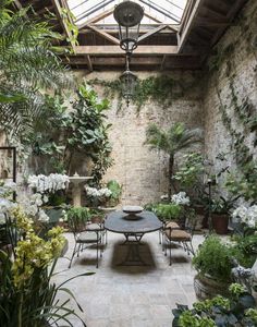 an outdoor patio with plants and potted plants