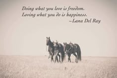 three horses standing in the middle of a field with a quote above them that says, doing what you love is freedom loving what you do as happiness