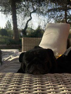 a black dog laying on top of a bed next to a white pillow and pillows