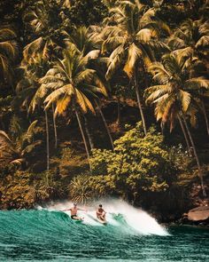 two surfers are riding the waves in front of palm trees