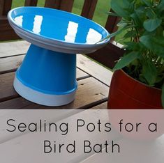 a blue bird bath sitting on top of a wooden table next to a potted plant