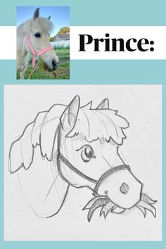 a drawing of a horse's head with the words prince on it and an image of