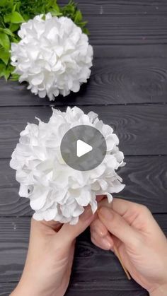 two white flowers are being held up by someone's hands on a table with green leaves