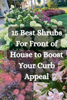 flowers and shrubs in front of a house with the words, 15 best shrubs for front of