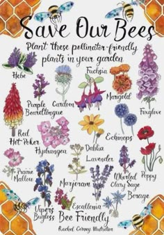 a poster with flowers and words on it that say save our bees, plant those petunis friendly plants in your garden