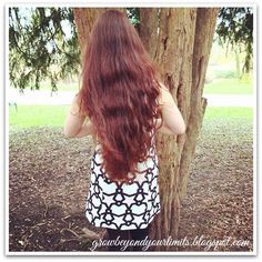 Very long red hair Ginger Redhead Super long hair Thick hair Beauty DIY Natural Hair Care Recipes Current Length - April Long Hair Thick, Red Hair Ginger, Diy Natural Hair, Hair Ginger, Quick Hair, Natural Hair Diy, Long Red Hair, Beauty Diy