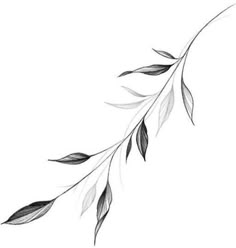 a black and white drawing of leaves