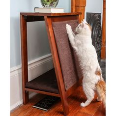 a white and orange cat standing on its hind legs in front of a brown chair