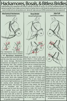 the instructions for how to draw a horse's bridle and headdress