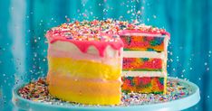 a colorful cake with sprinkles is on a plate