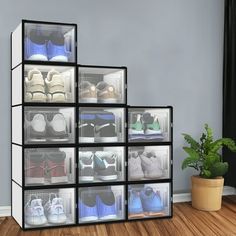 an image of a rack with shoes in it on the floor next to a potted plant