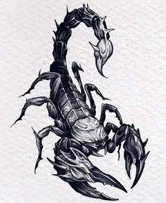 a scorpion tattoo design on white paper