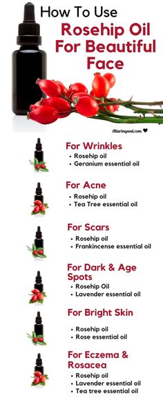 Rosehip Oil Benefits, Oils For Scars, Anti Aging Creme, Baking Soda Shampoo, Geranium Essential Oil, Frankincense Essential Oil, Rose Essential Oil, Tea Tree Essential Oil, Rosehip Oil