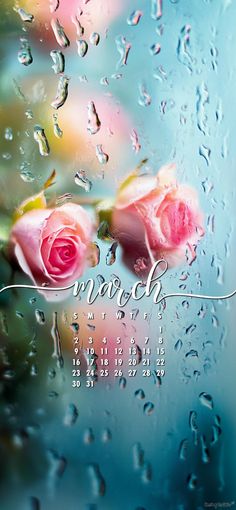 two pink roses sitting on top of a window next to raindrops and the word march