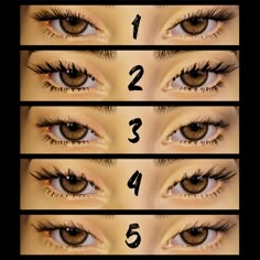 the steps in how to do an eyeliner for brown eyes with long, thick lashes