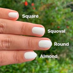 Squoval Acrylic Nails, Square Oval Nails, Natural Nail Shapes, Nail Shaping, Nail Shapes Squoval, Oval Shaped Nails, Nails Acrylic Square, Nails Round, Acrylic Nail Shapes