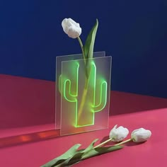 a glass vase with flowers in it sitting on a pink surface next to a green cactus