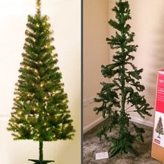 two pictures of a small christmas tree and the same one has a box in front of it