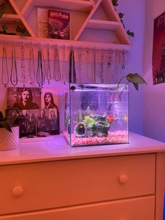 a fish tank sitting on top of a dresser next to a shelf filled with necklaces