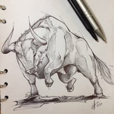 a pencil drawing of a bull standing on its hind legs