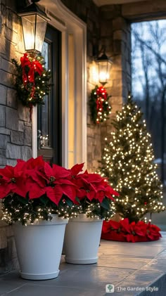 two potted poinsettias sitting on the front porch next to a christmas tree