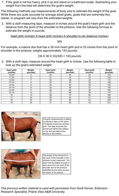 the instructions for how to tie a horse's halter