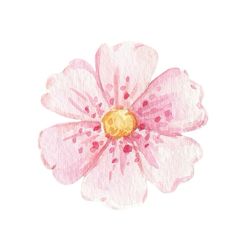 a watercolor painting of a pink flower on a white background with gold stamen